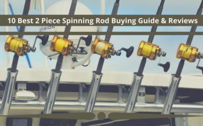 2 Piece Spinning Rod Best 10