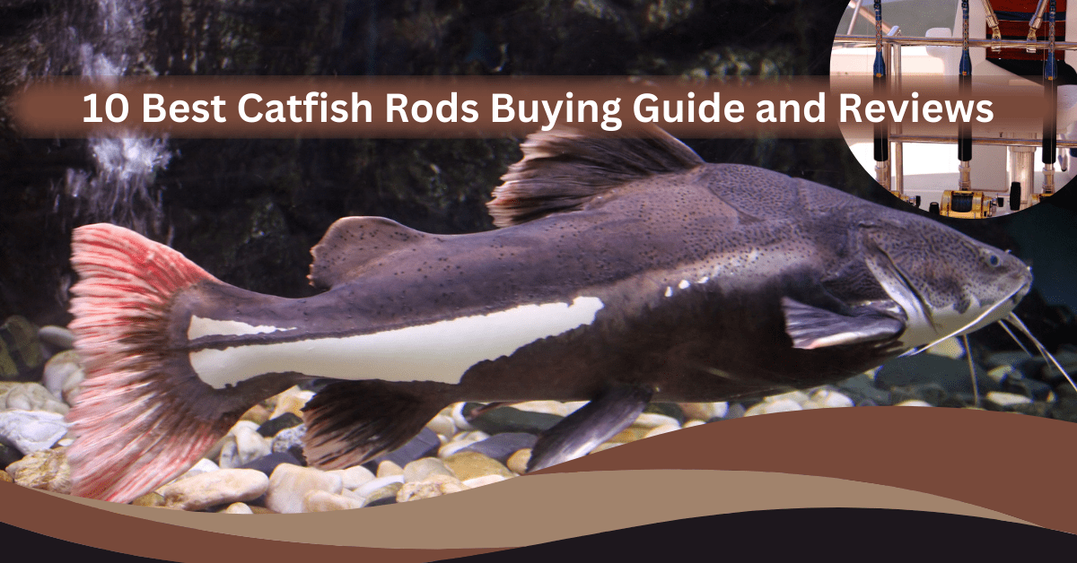 best-catfish-rods